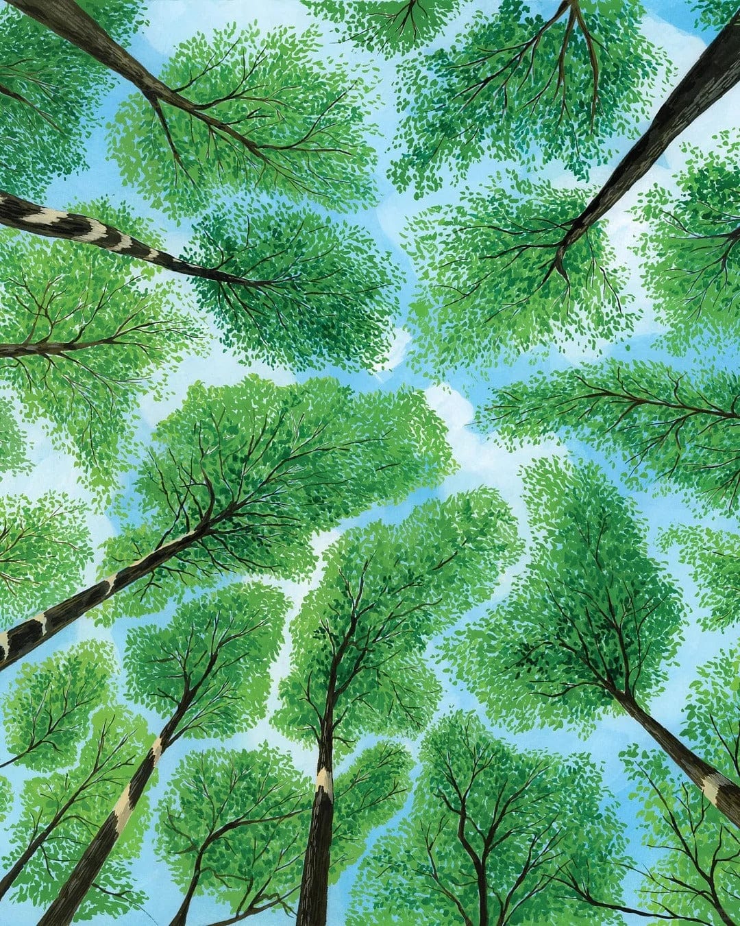 Forest Above – Paint by Numbers Kit for Adults | Tranquil Tree Canopy DIY Art