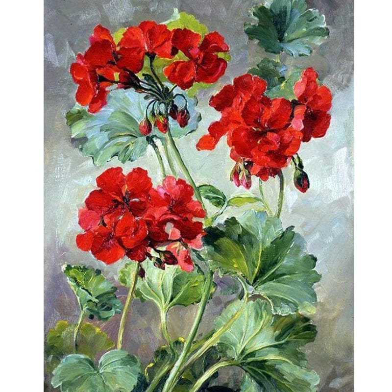 ColourMost™ DIY Painting By Numbers -Rose Geranium (16"x20")