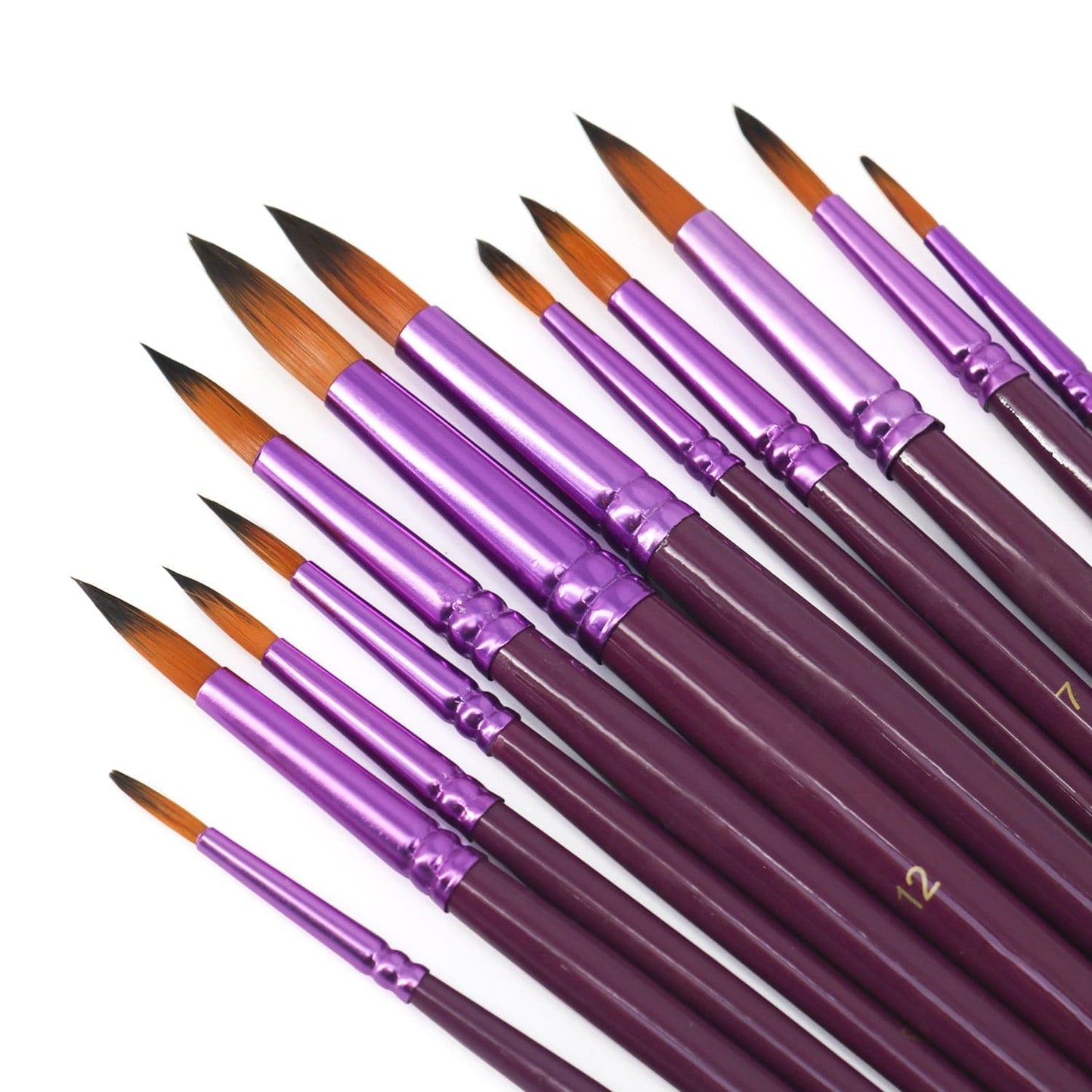 Professional Handmade 12 PCS Round Paint Brushes Set, Artist Brush for Acrylic Watercolor Oil Painting