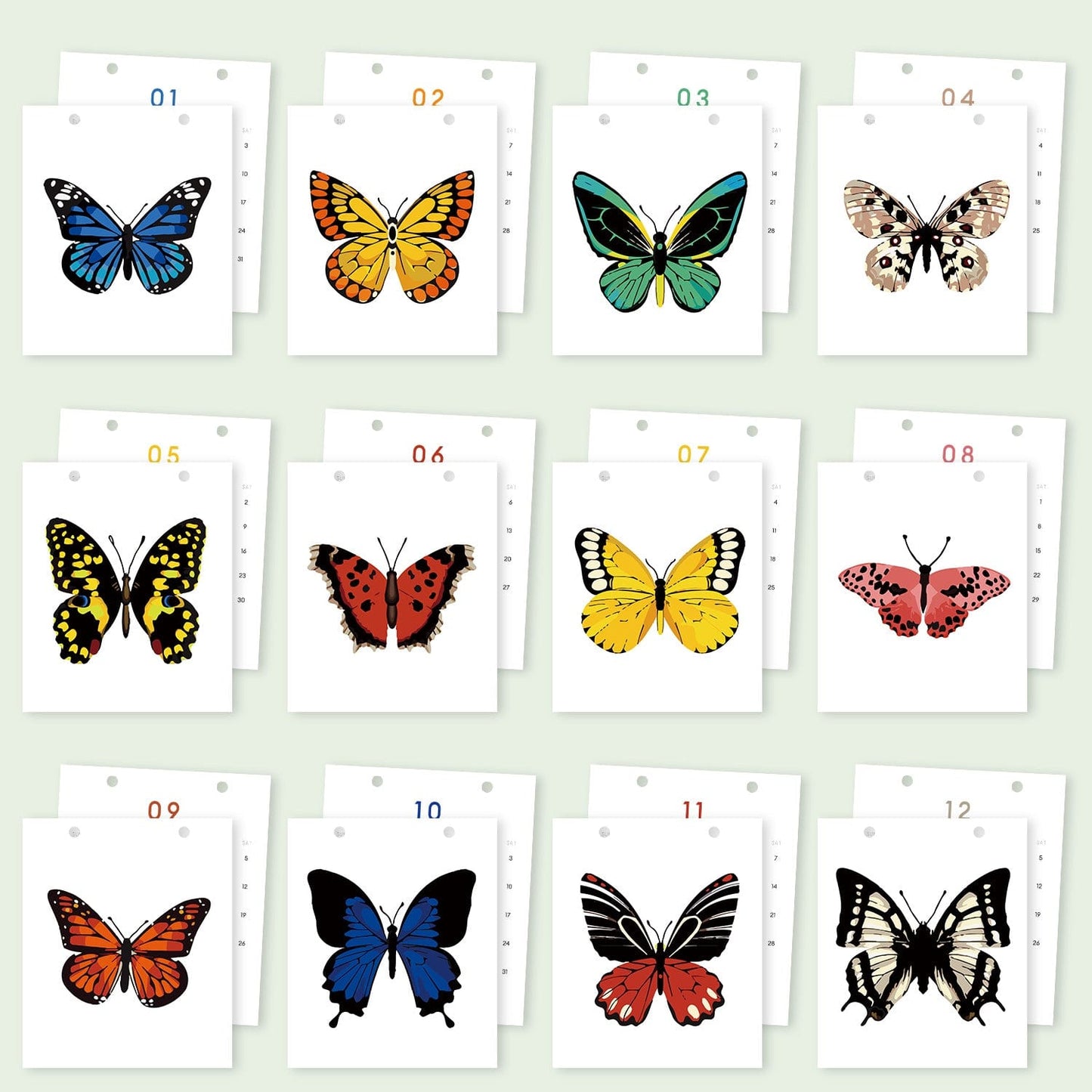 ColourMost™ 2026 Desk Calendar Series – Butterflies /Paint by Numbers(18.2cm x 22.5cm)