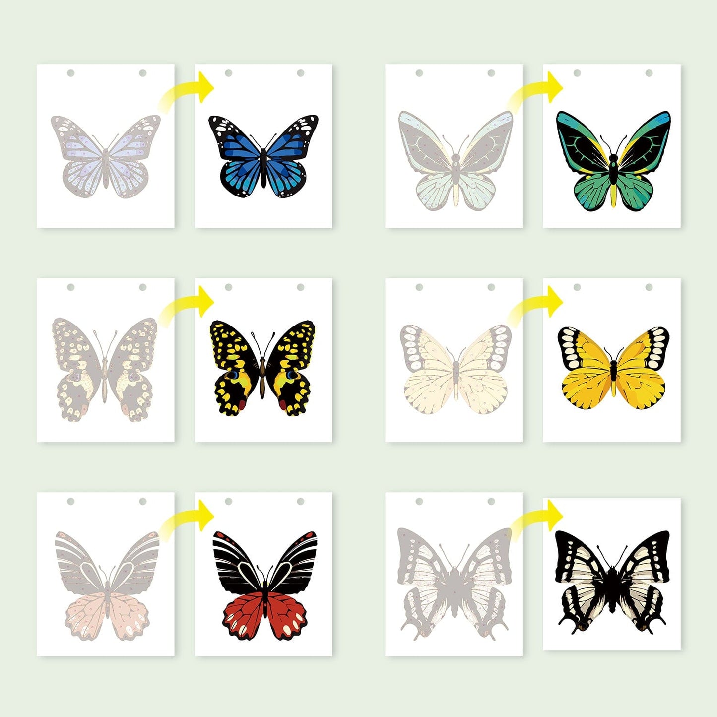 ColourMost™ 2026 Desk Calendar Series – Butterflies /Paint by Numbers(18.2cm x 22.5cm)