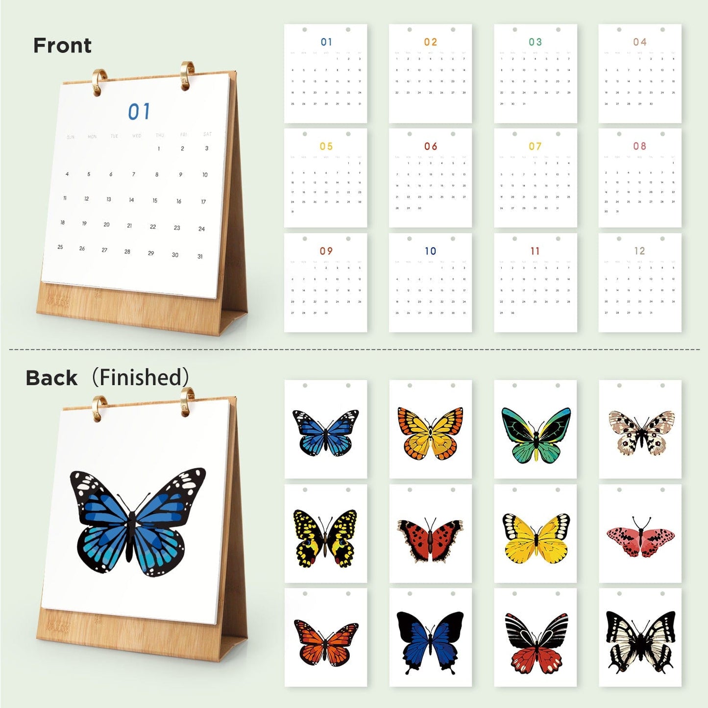 ColourMost™ 2026 Desk Calendar Series – Butterflies /Paint by Numbers(18.2cm x 22.5cm)