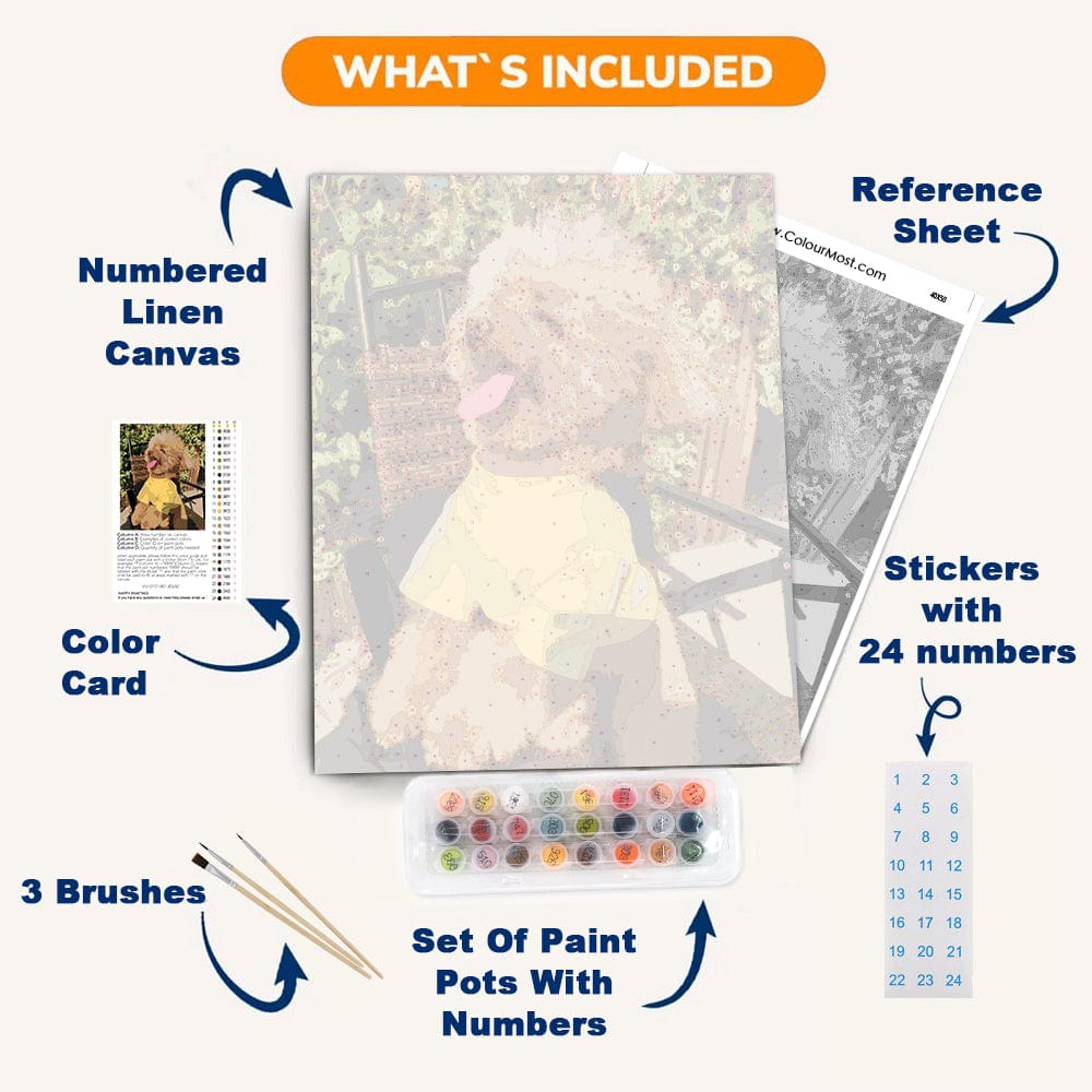 Custom Paint by Numbers Kit - Transform Memories into Art with ColourMost™