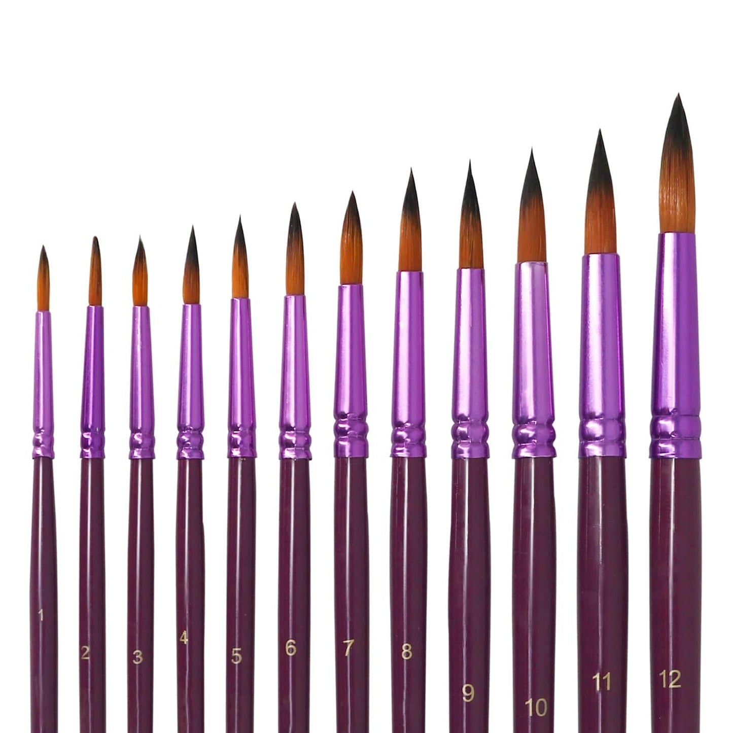 Professional Handmade 12 PCS Round Paint Brushes Set, Artist Brush for Acrylic Watercolor Oil Painting