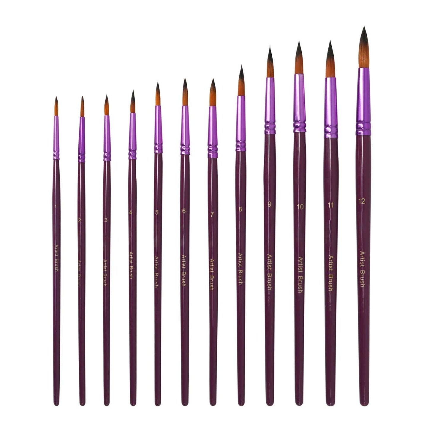 Professional Handmade 12 PCS Round Paint Brushes Set, Artist Brush for Acrylic Watercolor Oil Painting