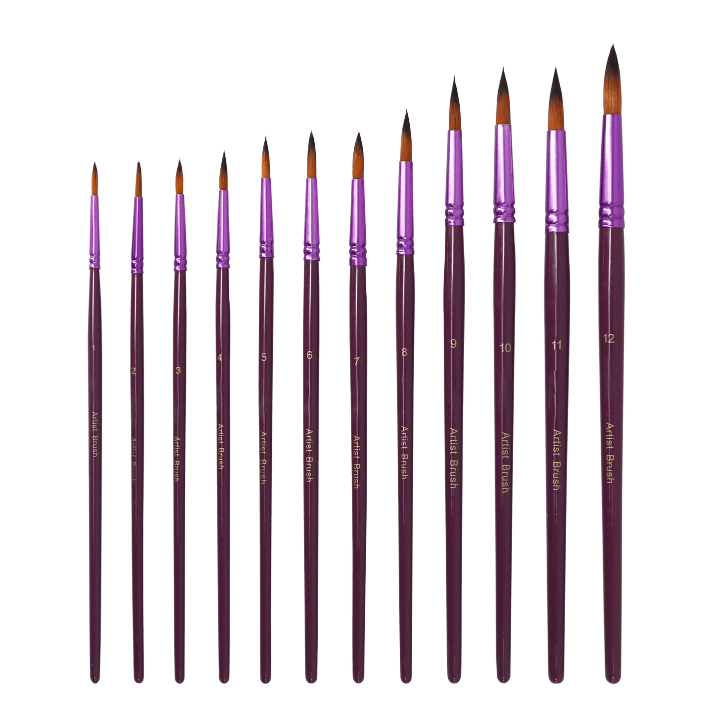 Professional Handmade 12 PCS Round Paint Brushes Set, Artist Brush for Acrylic Watercolor Oil Painting