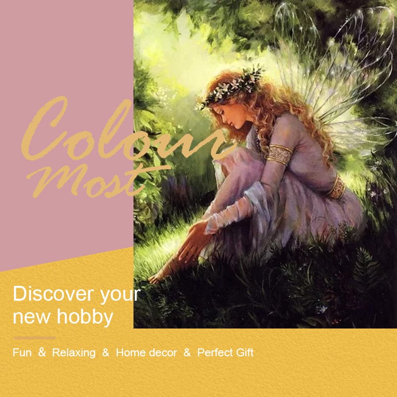 DIY Painting By Numbers - Fairy with wings (16"x20" / 40x50cm)
