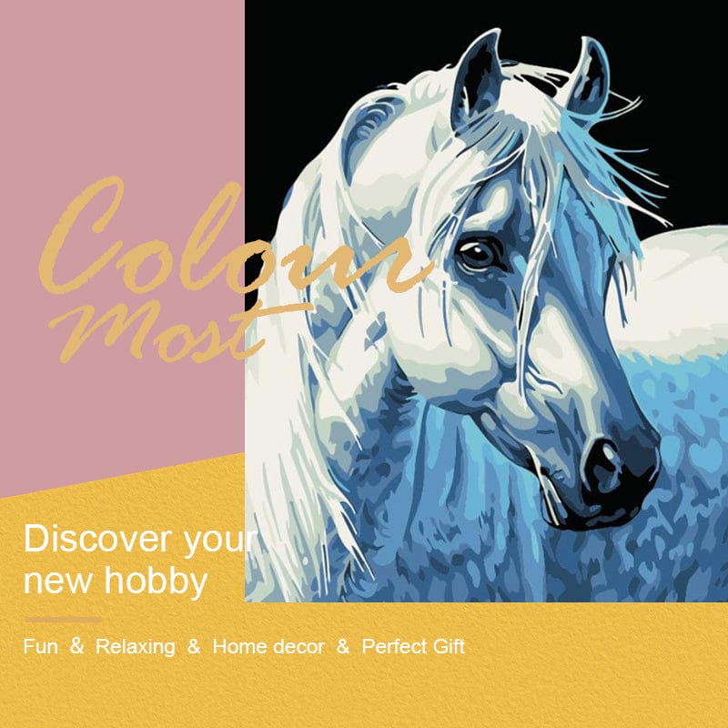 DIY Painting By Numbers - White Horse (16"x20" / 40x50cm)