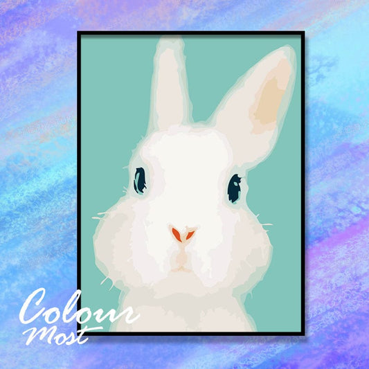 DIY Painting By Numbers -Bunny (16"x20" / 40x50cm)