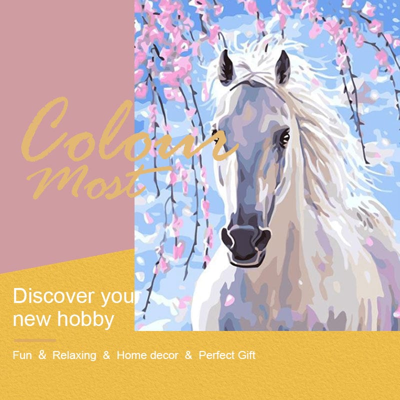 DIY Painting By Numbers - Horse (16"x20" / 40x50cm)