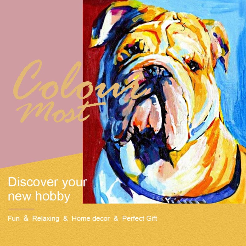 DIY Painting By Numbers - Colorful Dog (16"x20" / 40x50cm)
