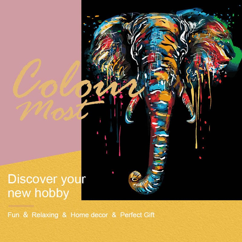 DIY Painting By Numbers - Elephant (16"x20" / 40x50cm)