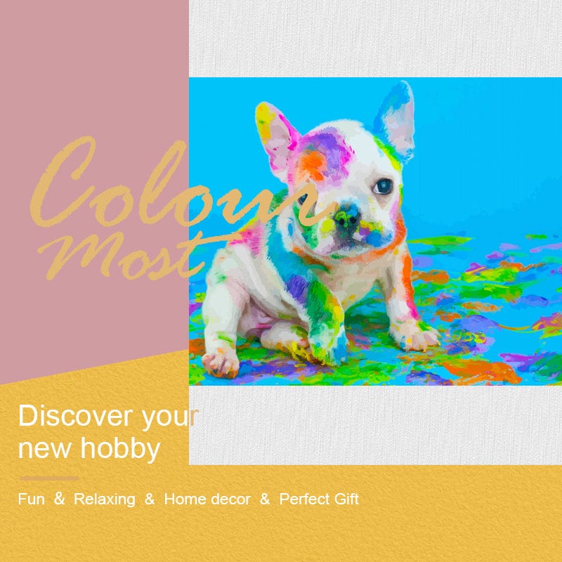 DIY Painting By Numbers -Paint and dog (16"x20" / 40x50cm)