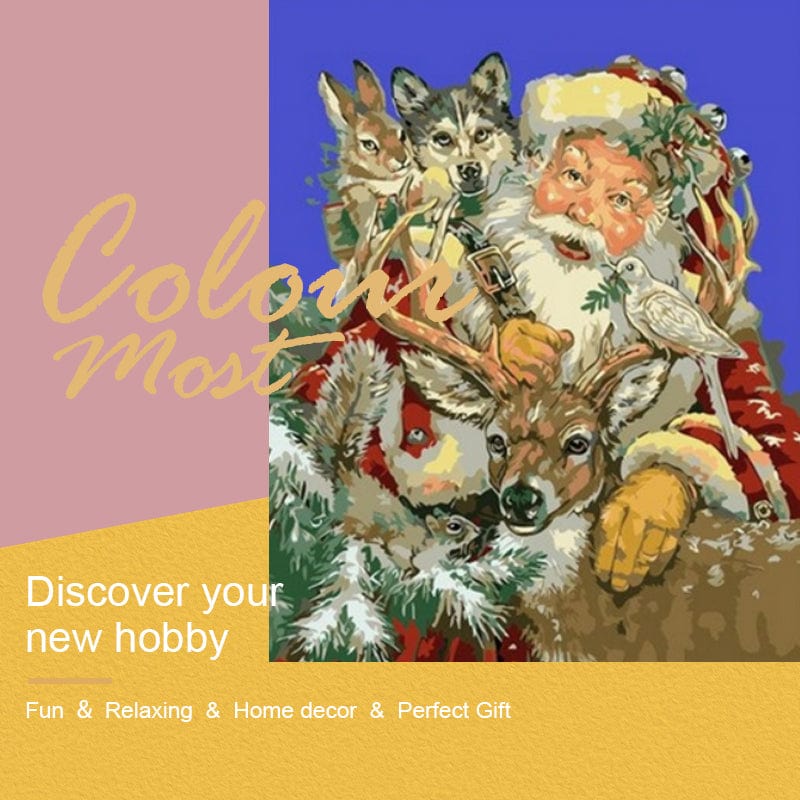 DIY Painting By Numbers - Santa and animals (16"x20" / 40x50cm)