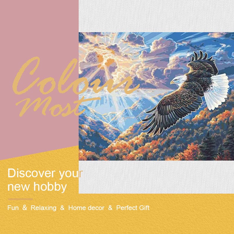 DIY Painting By Numbers -Eagle (16"x20" / 40x50cm)