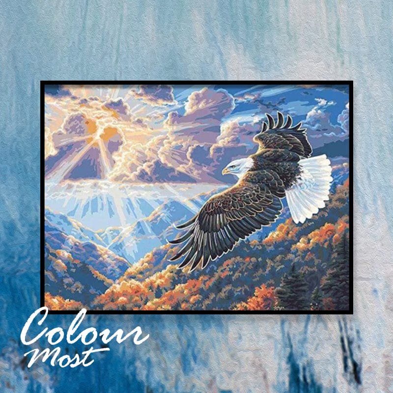 DIY Painting By Numbers -Eagle (16"x20" / 40x50cm)