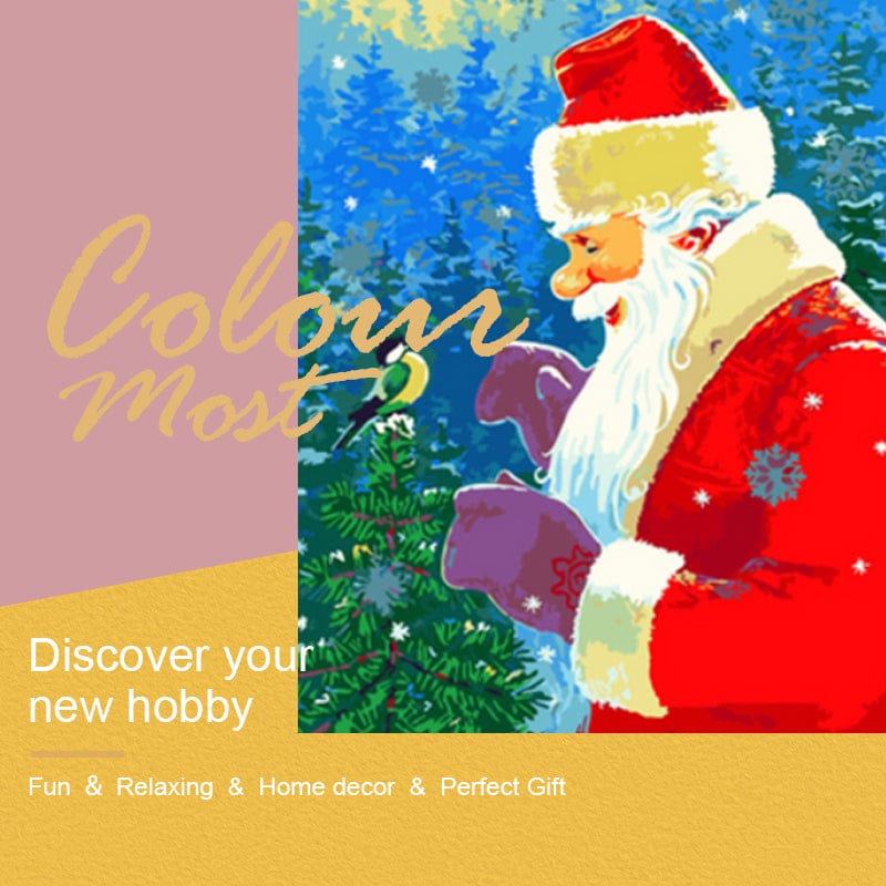 DIY Painting By Numbers - Santa and the bird (16"x20" / 40x50cm)