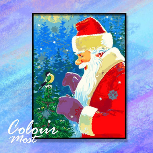 DIY Painting By Numbers - Santa and the bird (16"x20" / 40x50cm)