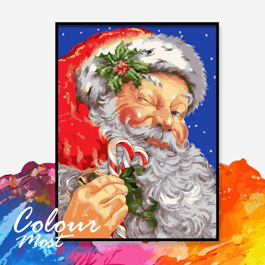 DIY Painting By Numbers - Santa Claus (16"x20" / 40x50cm)