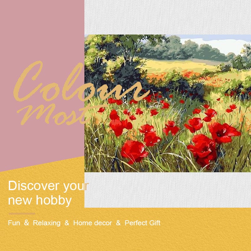 DIY Painting By Numbers -Poppies (16"x20" / 40x50cm)