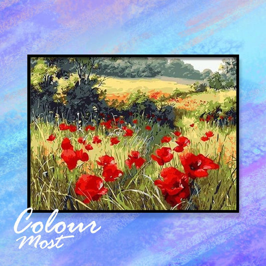 DIY Painting By Numbers -Poppies (16"x20" / 40x50cm)