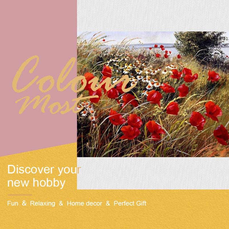 DIY Painting By Numbers -Poppies and Daisies (16"x20" / 40x50cm)