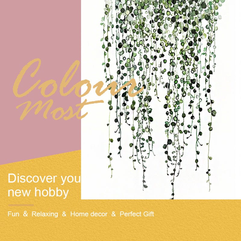 DIY Painting By Numbers - Herbs (16"x20" / 40x50cm)