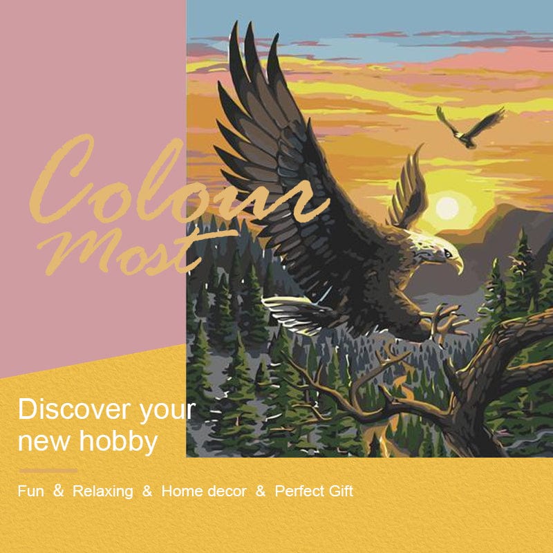 DIY Painting By Numbers -Eagle (16"x20" / 40x50cm)