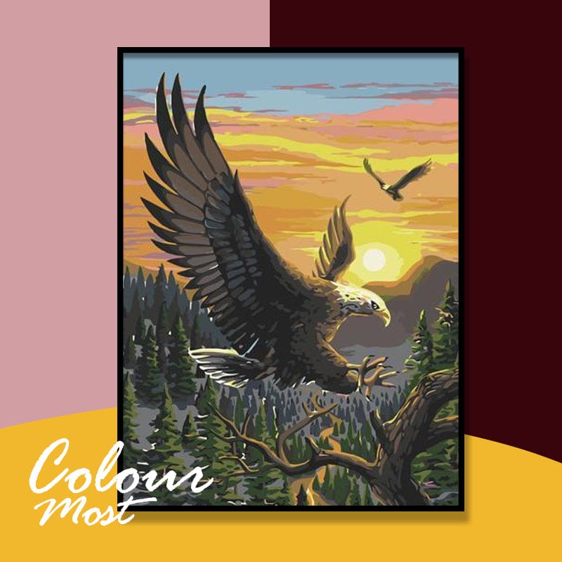 DIY Painting By Numbers -Eagle (16"x20" / 40x50cm)