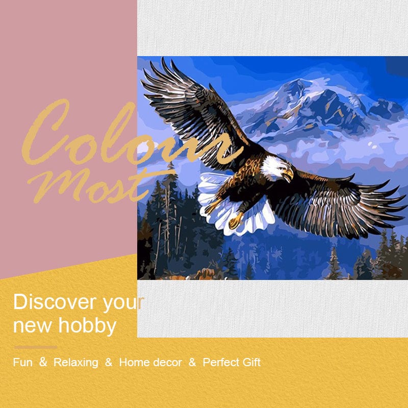 DIY Painting By Numbers - Soaring eagle (16"x20" / 40x50cm)