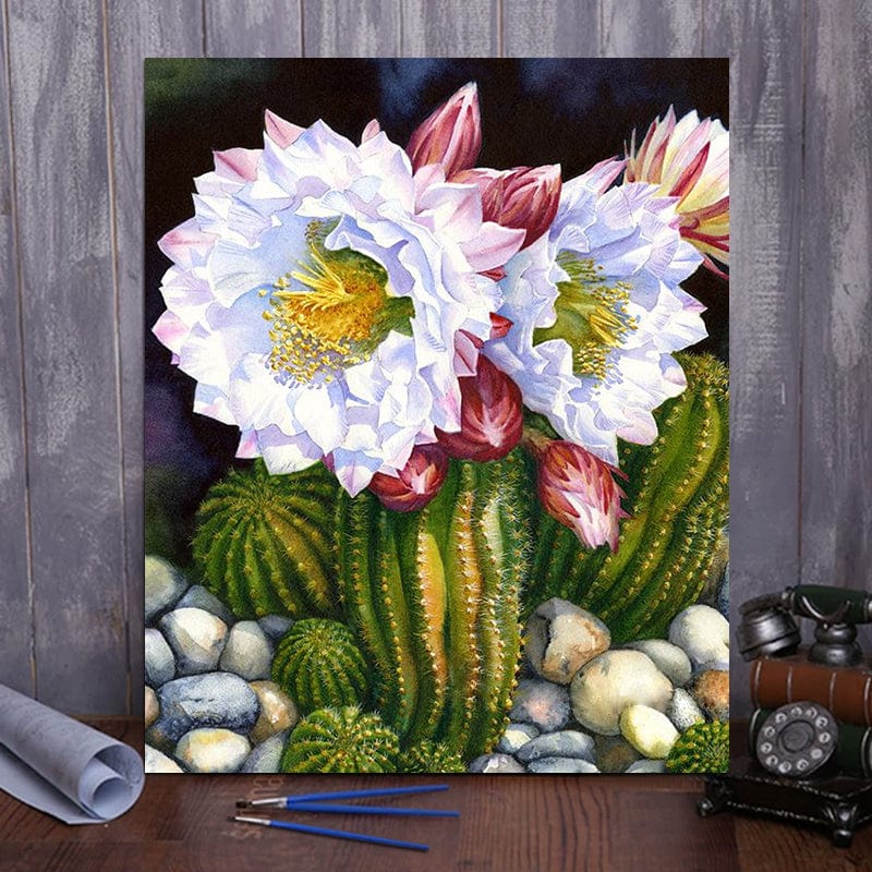 DIY Painting By Numbers - Prickly pear flower