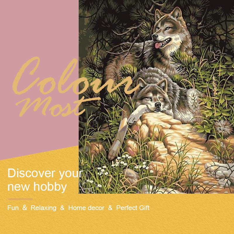 DIY Painting By Numbers -  Wolf (16"x20" / 40x50cm)