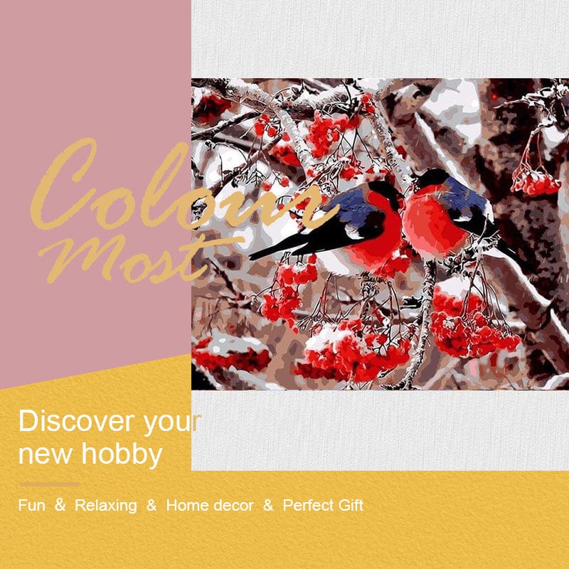 DIY Painting By Numbers - Birds (16"x20" / 40x50cm)