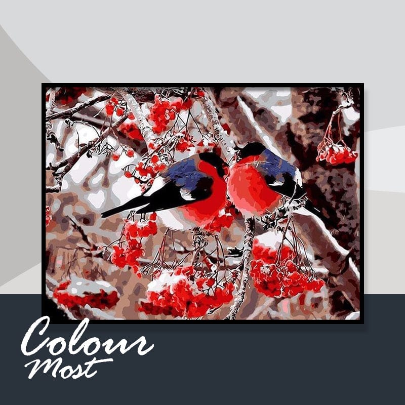 DIY Painting By Numbers - Birds (16"x20" / 40x50cm)