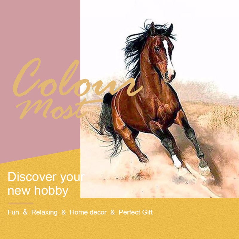 DIY Painting By Numbers - Horse (16"x20" / 40x50cm)