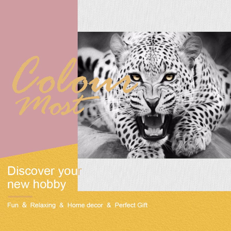 DIY Painting By Numbers - Leopard (16"x20" / 40x50cm)