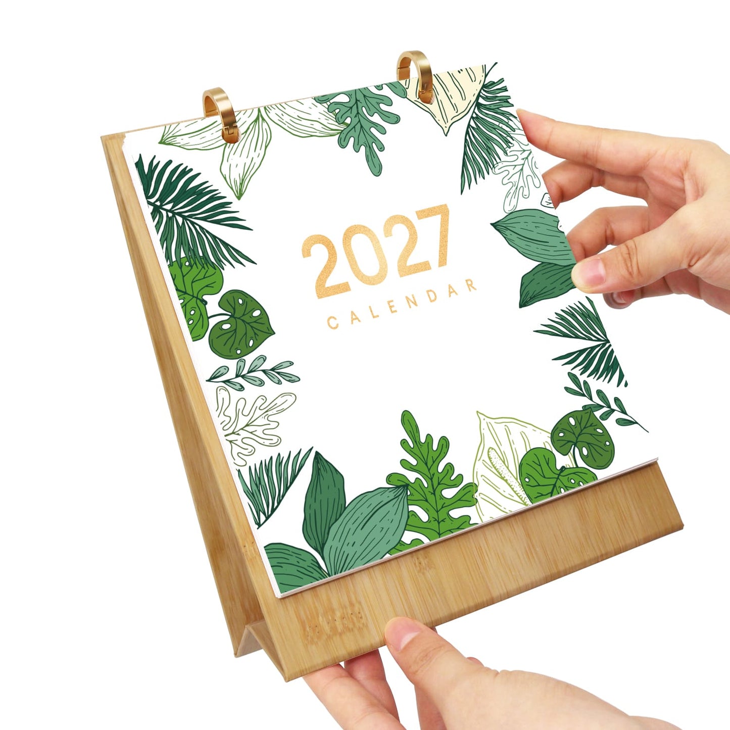 ColourMost™ 2027 Desk Calendar Series –  Plants /Paint by Numbers(18.2cm x 22.5cm)