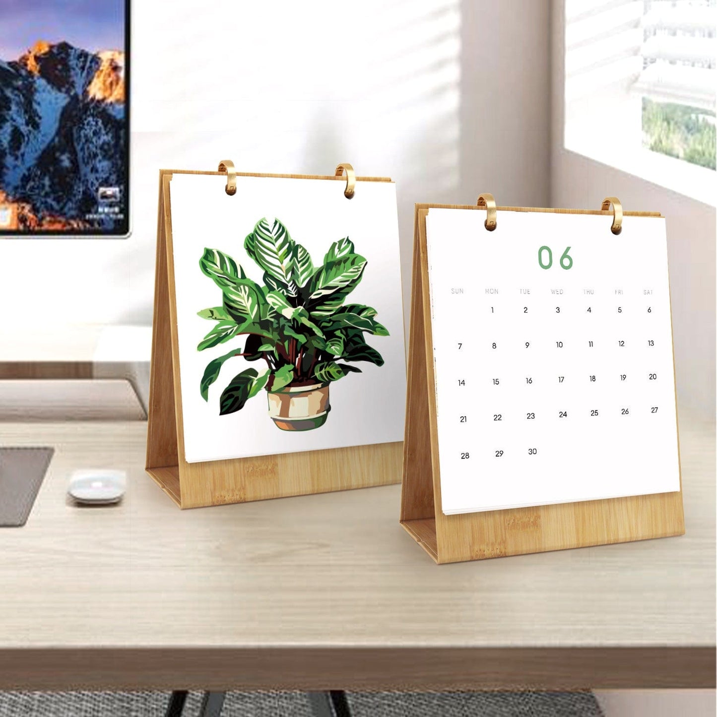 ColourMost™ 2026 Desk Calendar Series –  Plants /Paint by Numbers(18.2cm x 22.5cm)