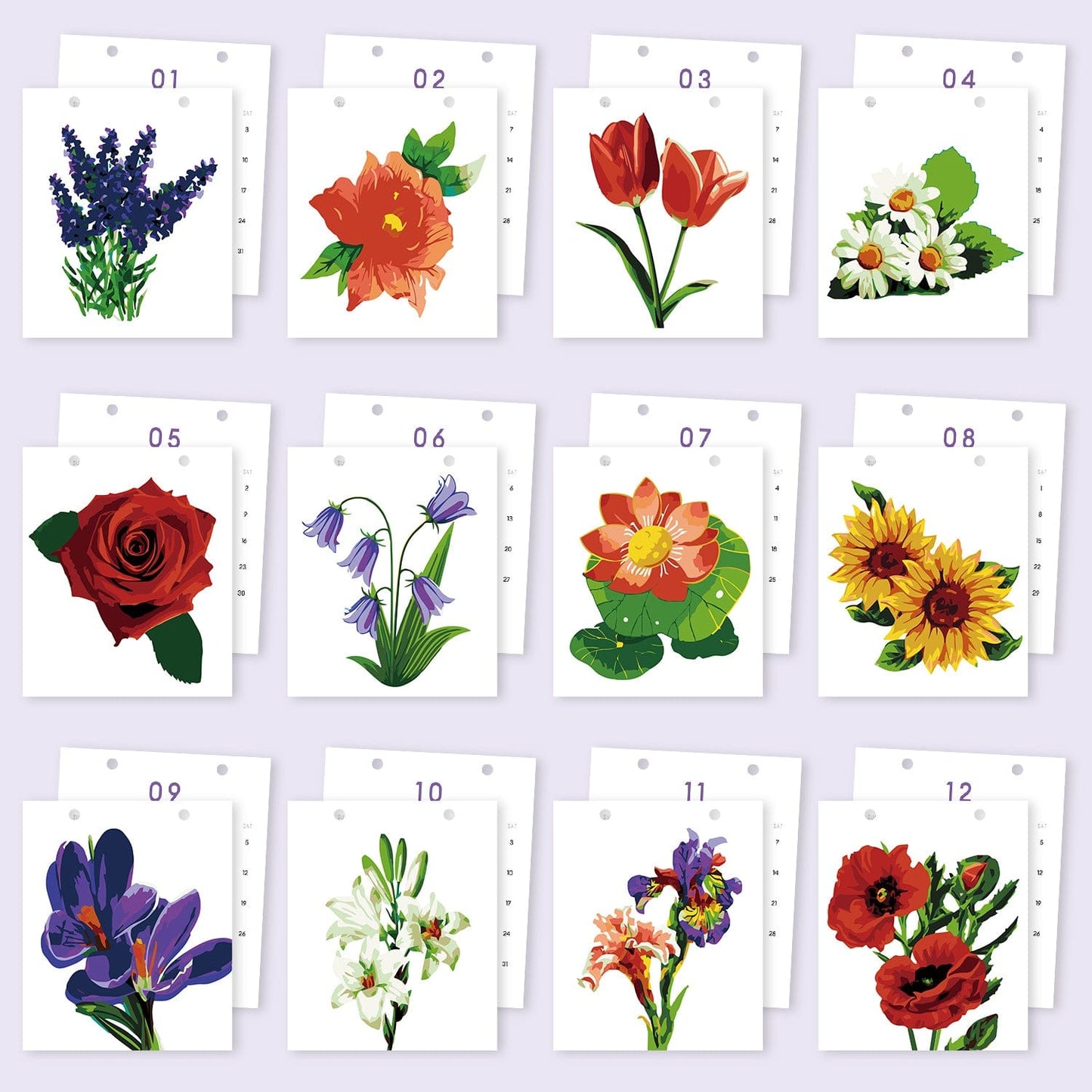 ColourMost™ 2026 Desk Calendar Series –  Flowers /Paint by Numbers(18.2cm x 22.5cm)