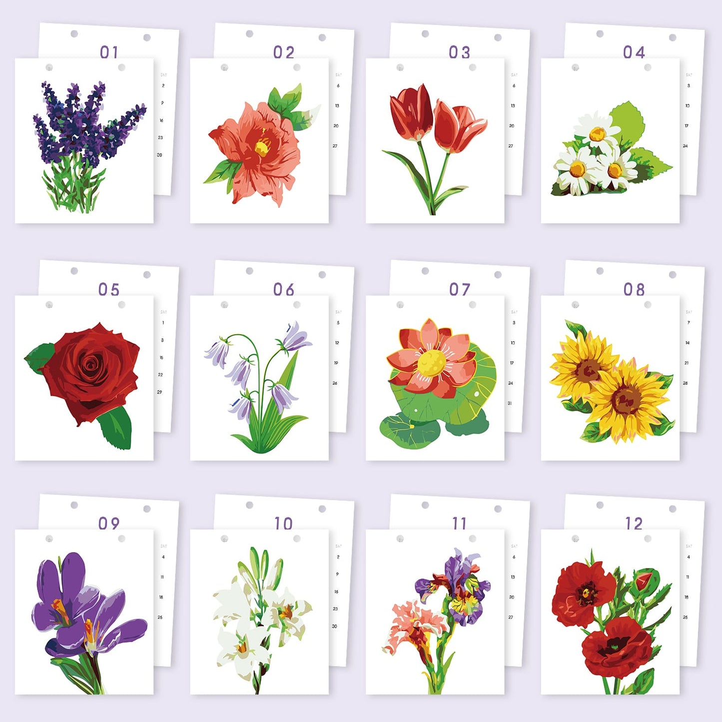 ColourMost™ 2027 Desk Calendar Series –  Flowers /Paint by Numbers(18.2cm x 22.5cm)
