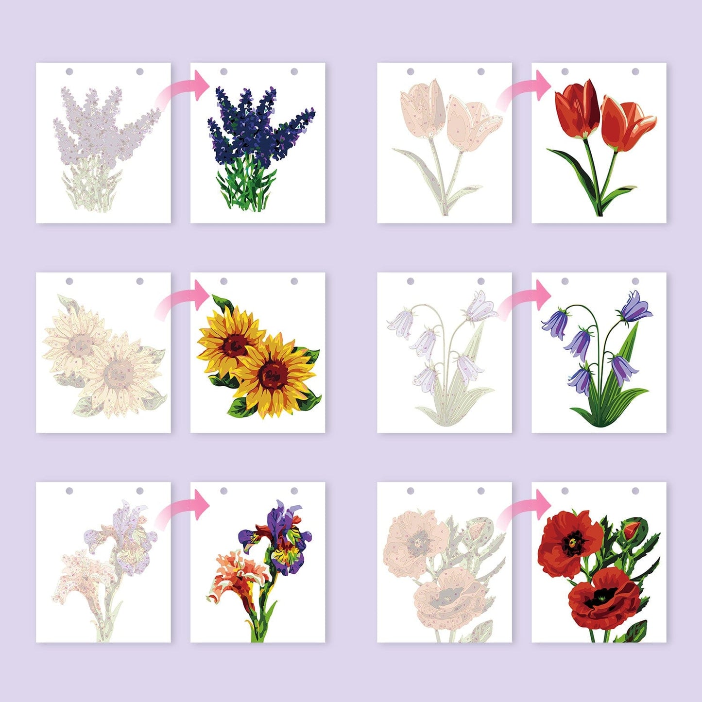 ColourMost™ 2026 Desk Calendar Series –  Flowers /Paint by Numbers(18.2cm x 22.5cm)