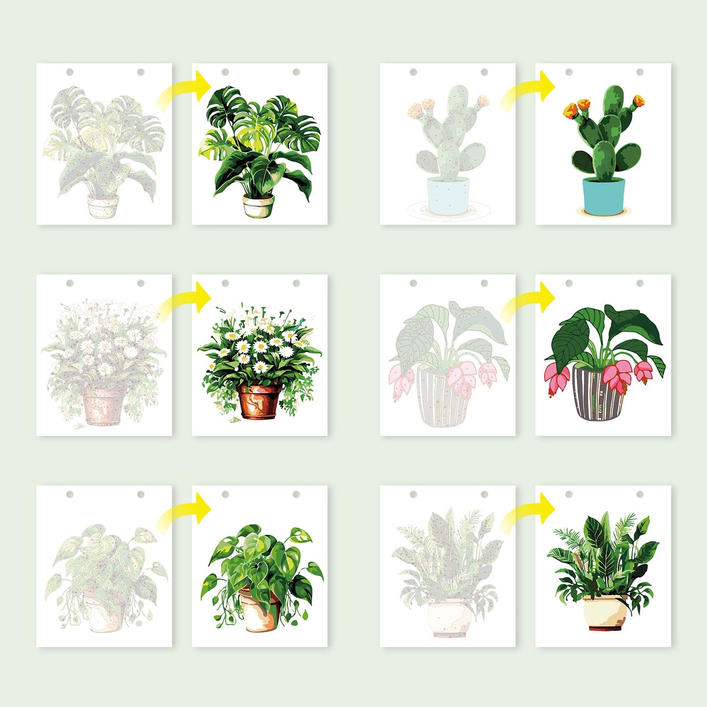 ColourMost™ 2027 Desk Calendar Series –  Plants /Paint by Numbers(18.2cm x 22.5cm)