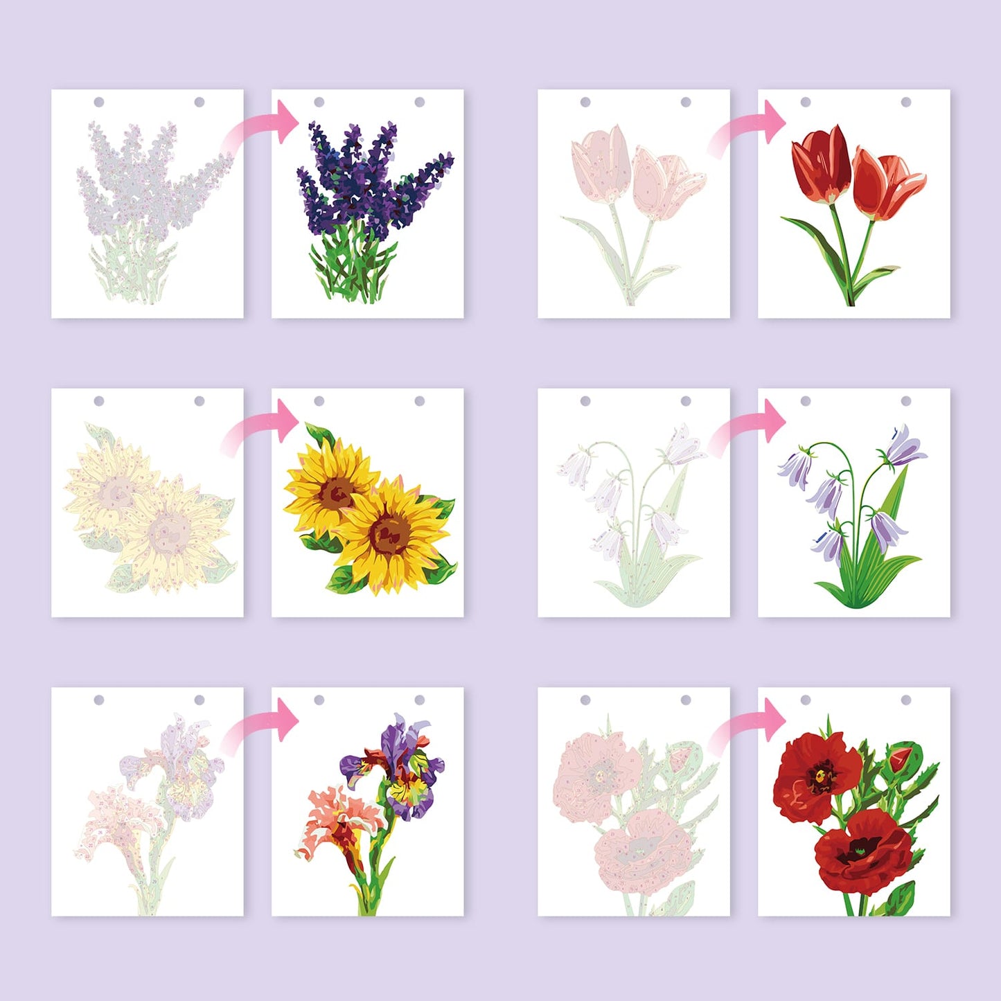 ColourMost™ 2027 Desk Calendar Series –  Flowers /Paint by Numbers(18.2cm x 22.5cm)