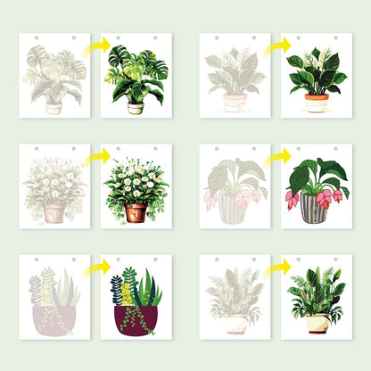 ColourMost™ 2026 Desk Calendar Series –  Plants /Paint by Numbers(18.2cm x 22.5cm)