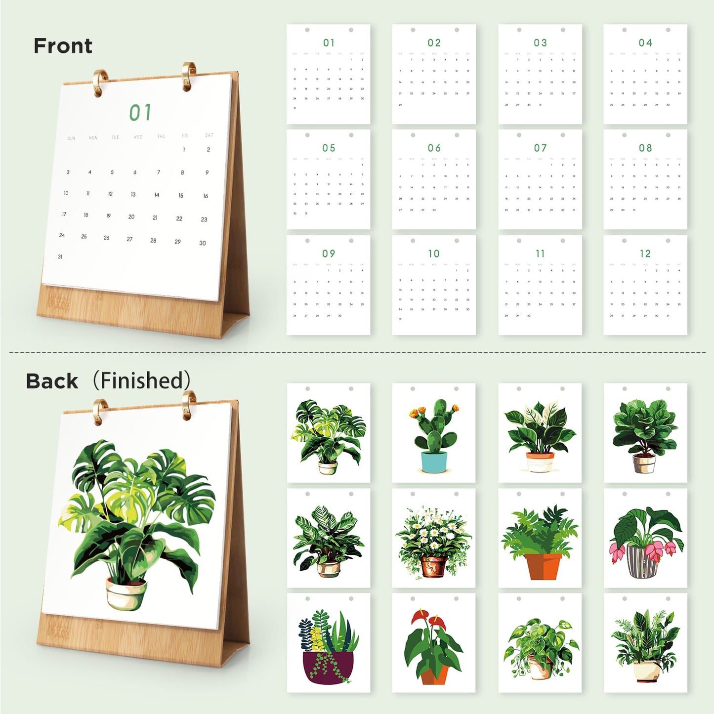 ColourMost™ 2027 Desk Calendar Series –  Plants /Paint by Numbers(18.2cm x 22.5cm)