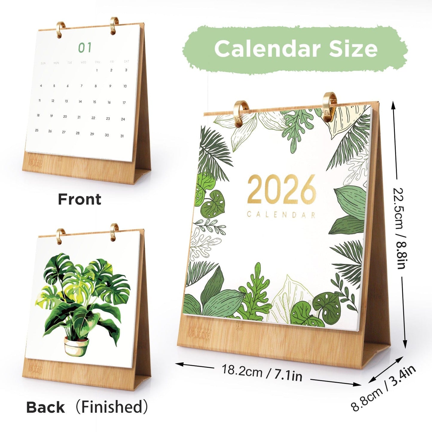 ColourMost™ 2026 Desk Calendar Series –  Plants /Paint by Numbers(18.2cm x 22.5cm)