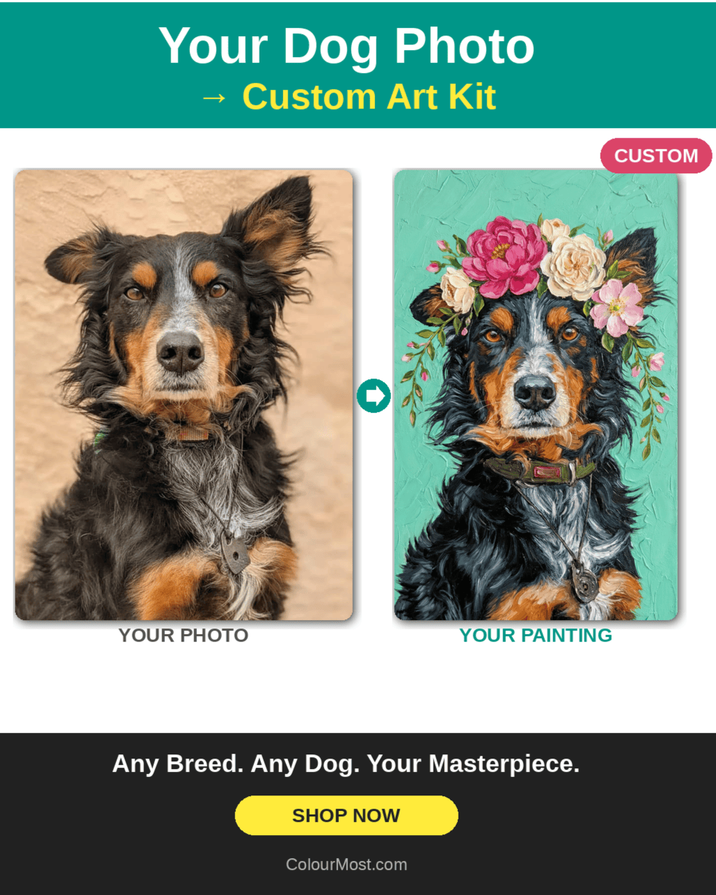 Dog photo and painting customization service with 'Your Dog Photo' and 'Custom Art Kit' text.