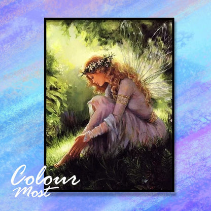 DIY Painting By Numbers - Fairy with wings (16"x20" / 40x50cm)