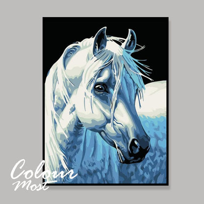 DIY Painting By Numbers - White Horse (16"x20" / 40x50cm)