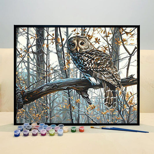 DIY Painting By Numbers -Owl